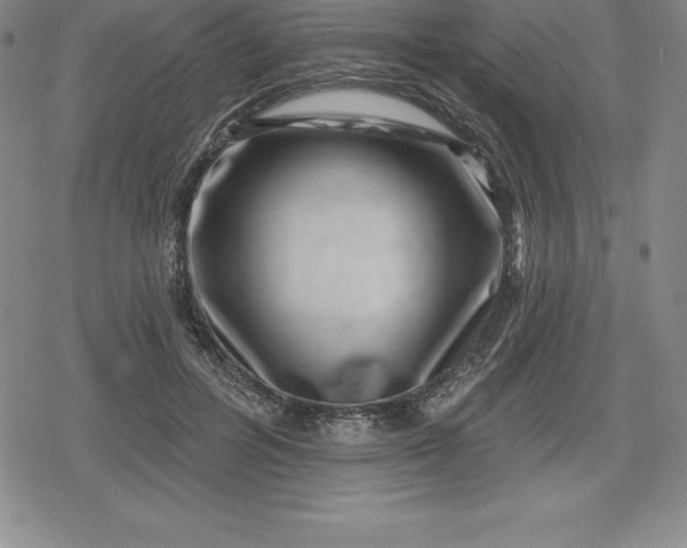 X0000080200600200612221407