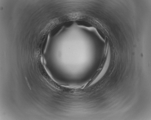 X0000080200601200612221407