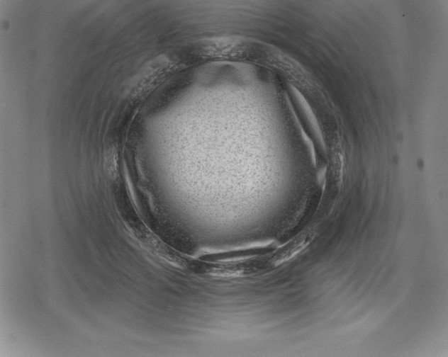 X0000080200602200612221407