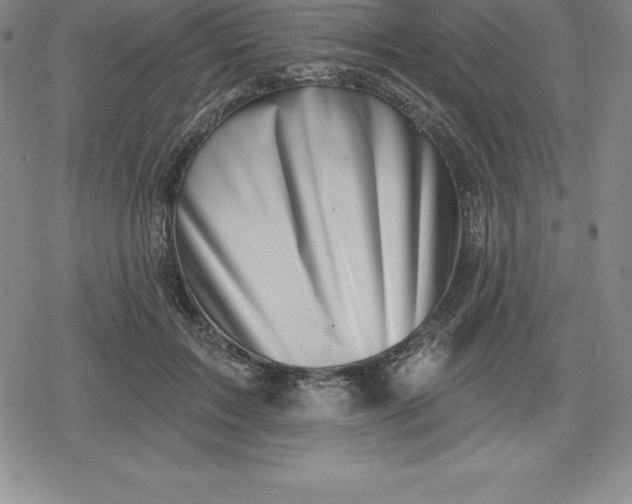 X0000080200603200612221407