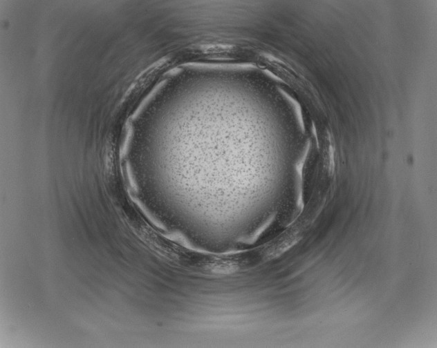 X0000080200604200612221407