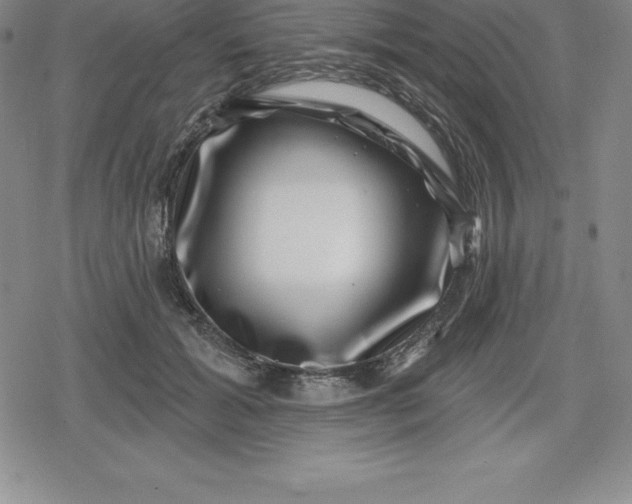 X0000080200605200612221407