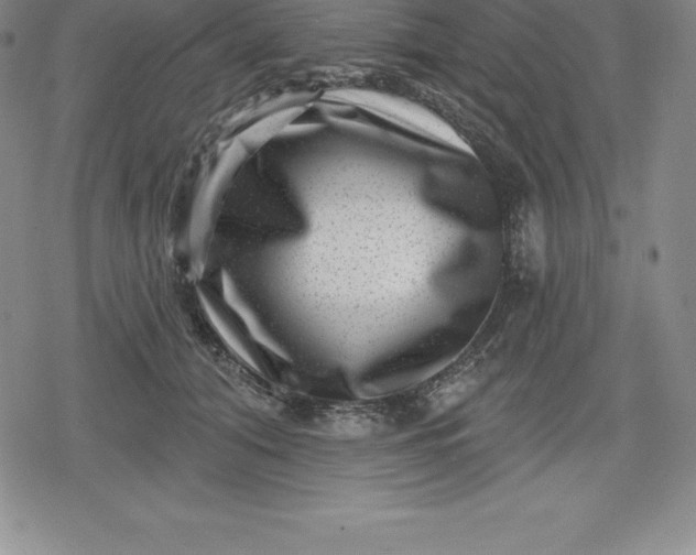 X0000080200608200612221407