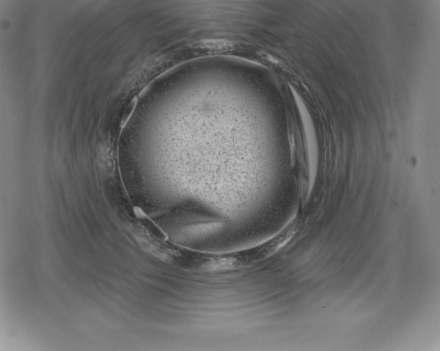 X0000080200609200612221407