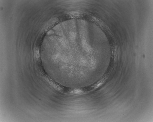 X0000080200610200612221407