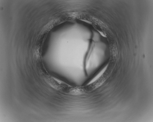 X0000080200611200612221407