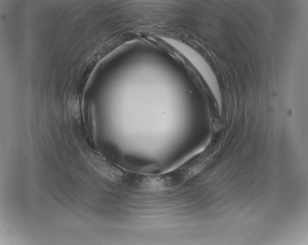 X0000080200613200612221407