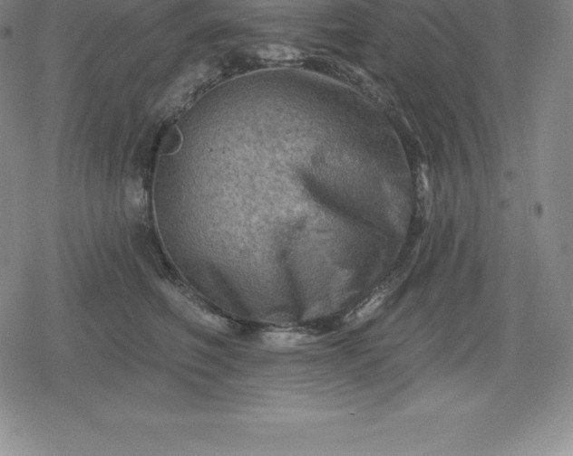 X0000080200614200612221407