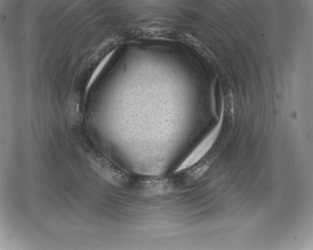 X0000080200615200612221407