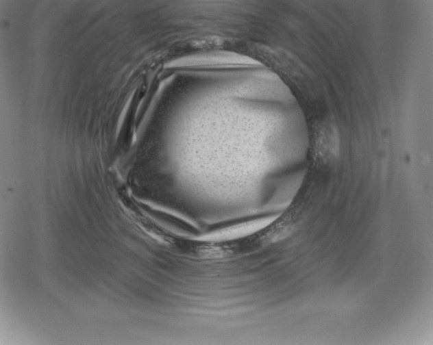 X0000080200616200612221407