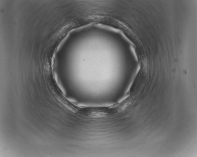 X0000080200617200612221407