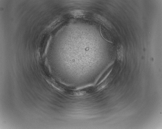 X0000080200618200612221407