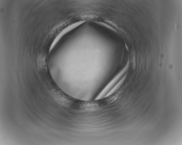 X0000080200619200612221407