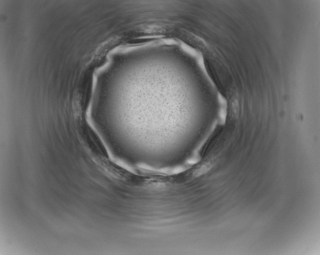 X0000080200620200612221407