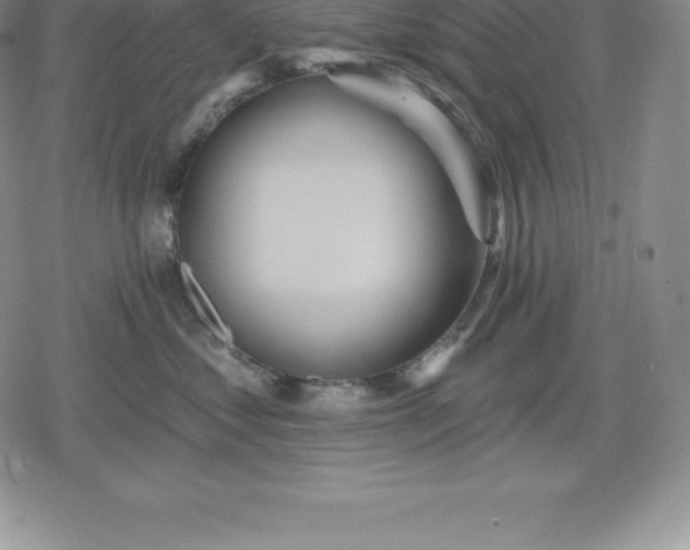 X0000080200621200612221407