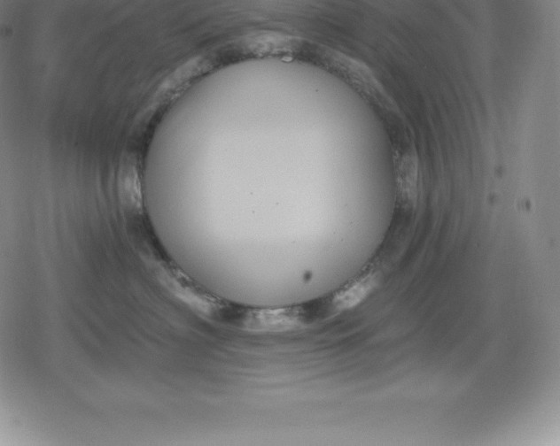 X0000080200622200612221407