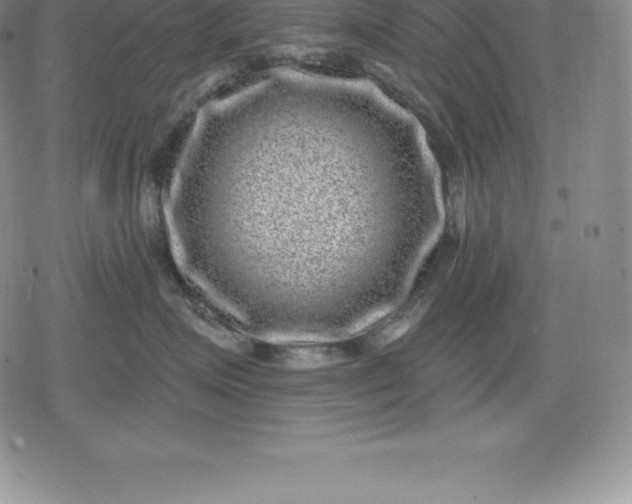 X0000080200623200612221407