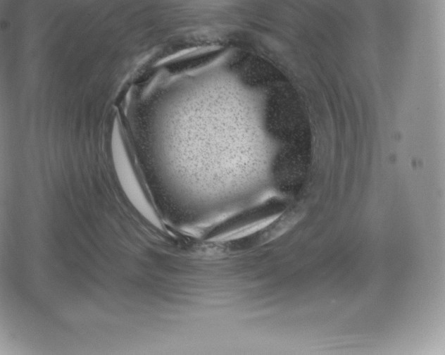 X0000080200624200612221407