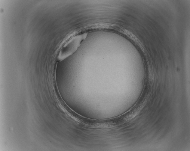 X0000080200625200612221406