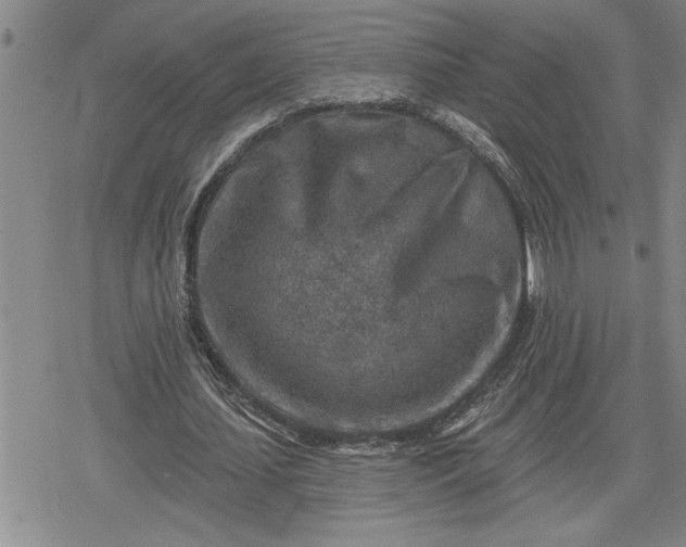 X0000080200627200612221406