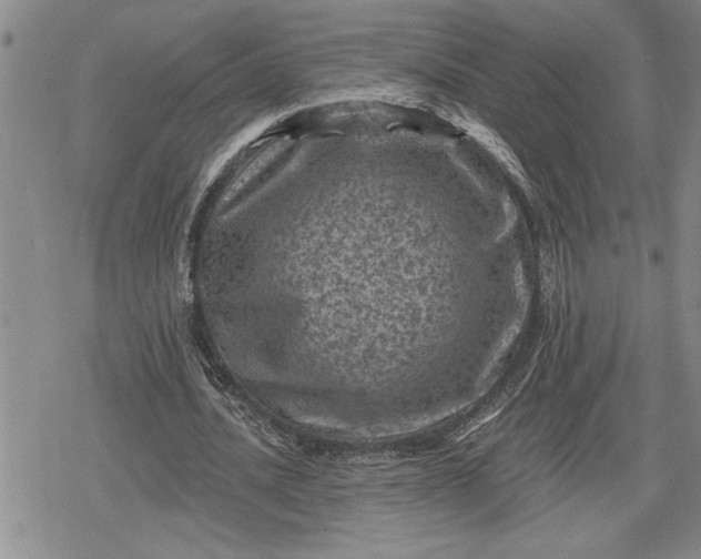 X0000080200628200612221406