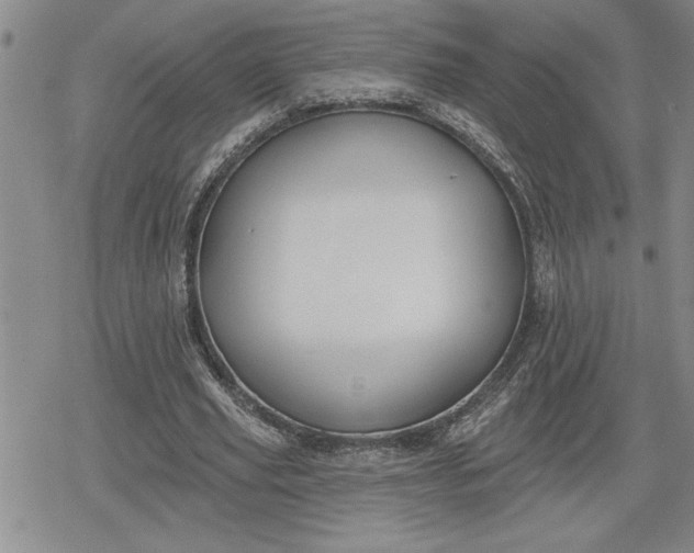 X0000080200629200612221406