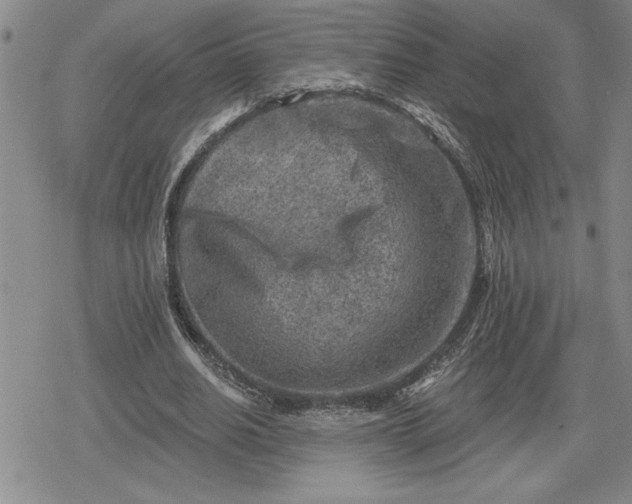 X0000080200630200612221406