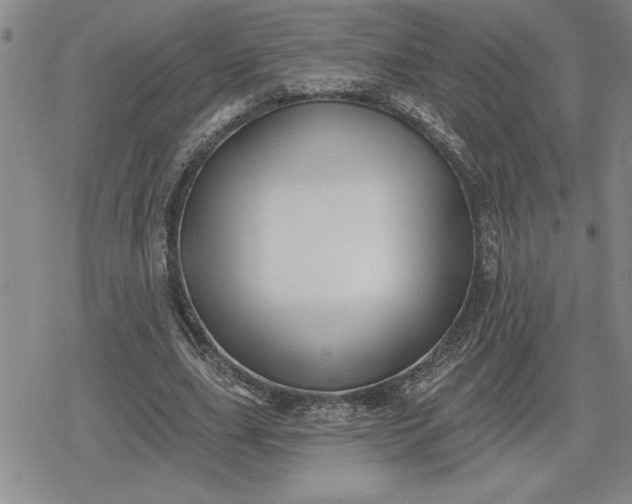 X0000080200631200612221406