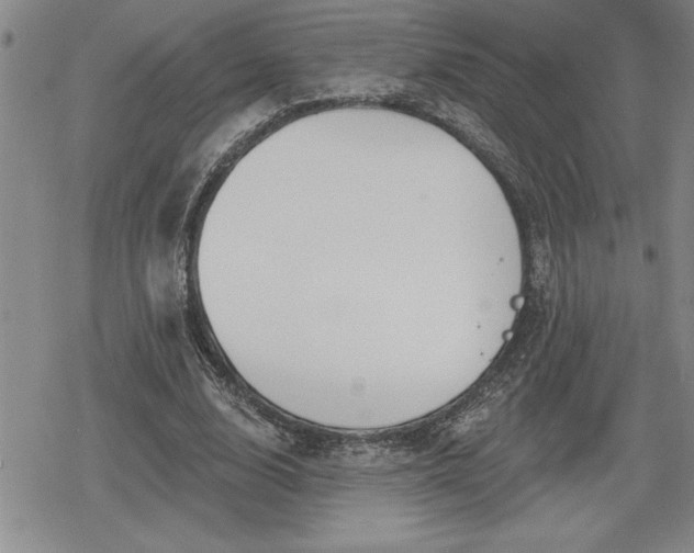 X0000080200632200612221406