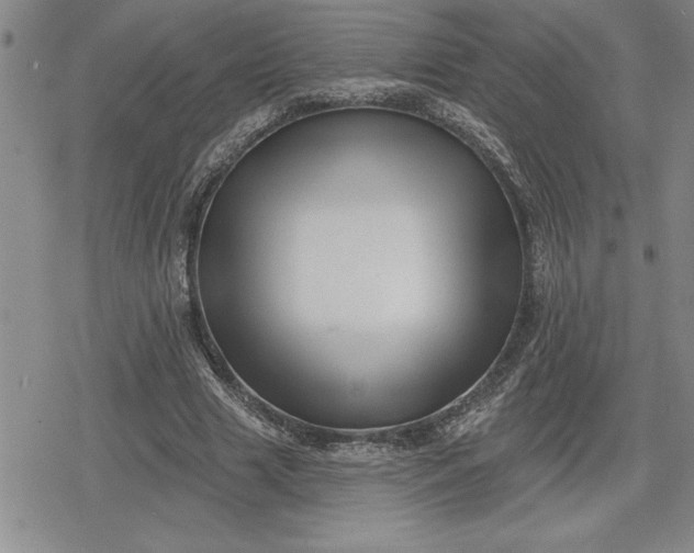 X0000080200633200612221406