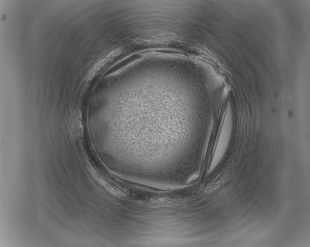 X0000080200634200612221406