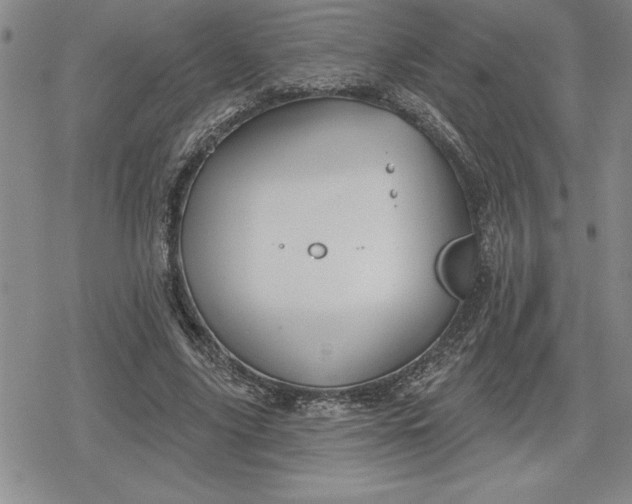 X0000080200635200612221406