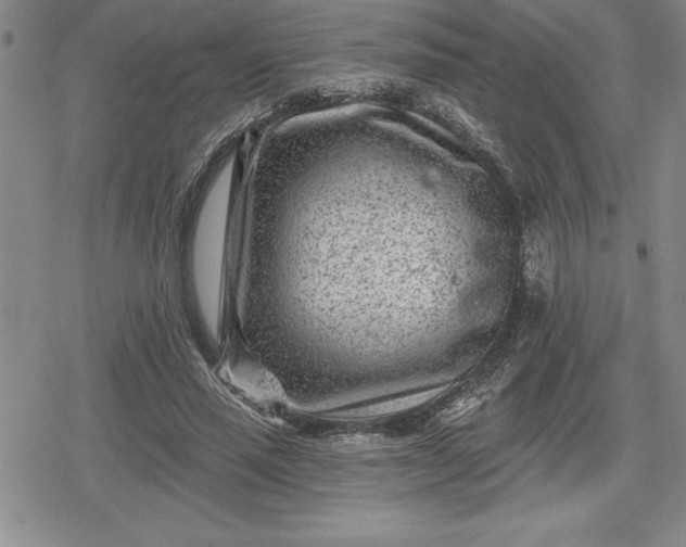 X0000080200637200612221406