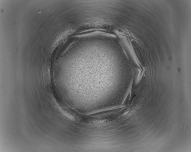 X0000080200638200612221406