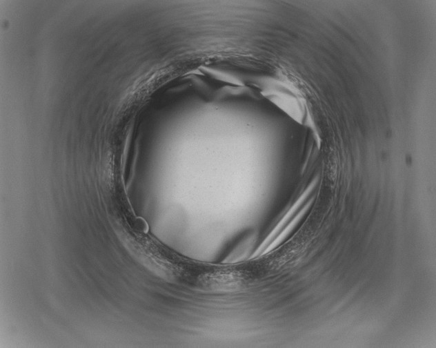 X0000080200639200612221406