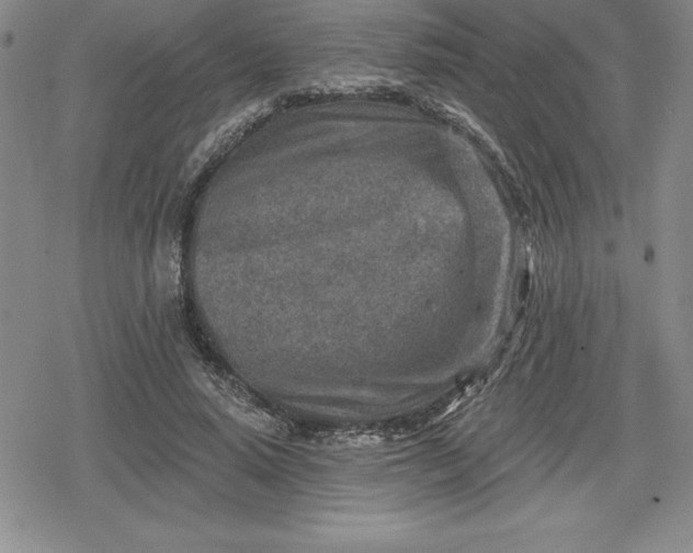 X0000080200640200612221406