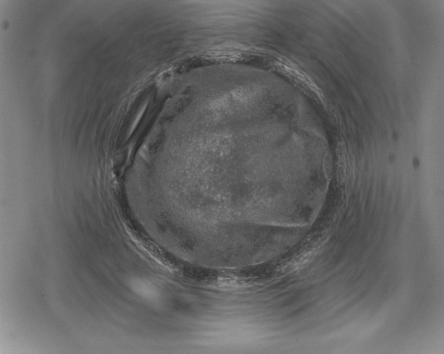 X0000080200641200612221406