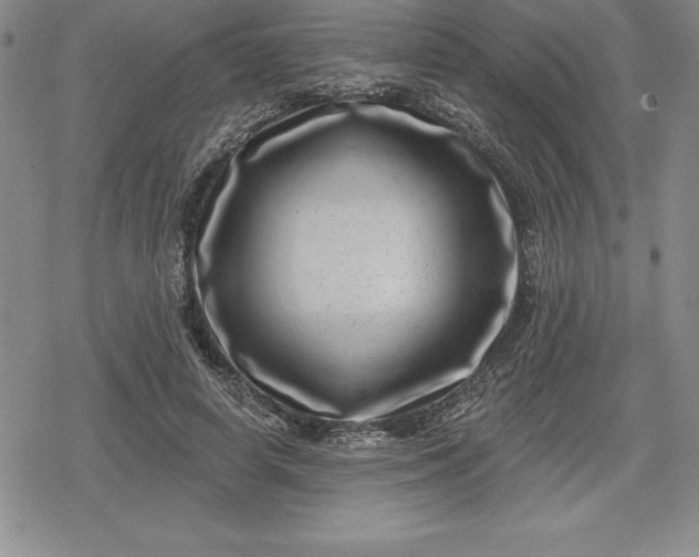 X0000080200642200612221406