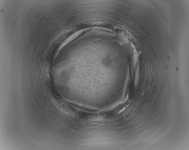 X0000080200643200612221406