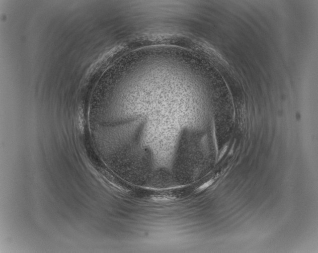 X0000080200644200612221406