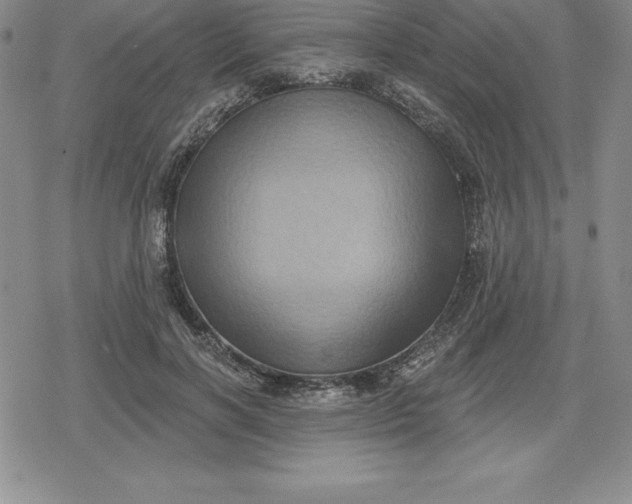 X0000080200646200612221406