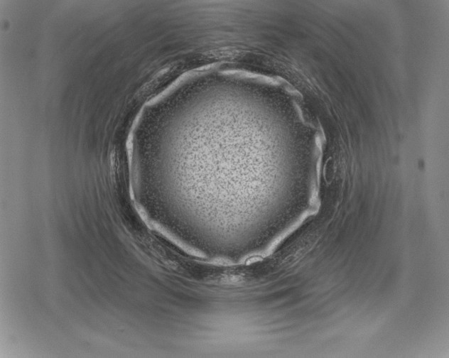 X0000080200647200612221406