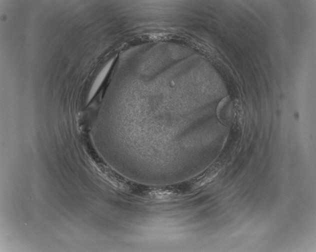 X0000080200650200612221407