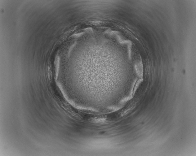 X0000080200651200612221407