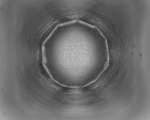 X0000080200652200612221407