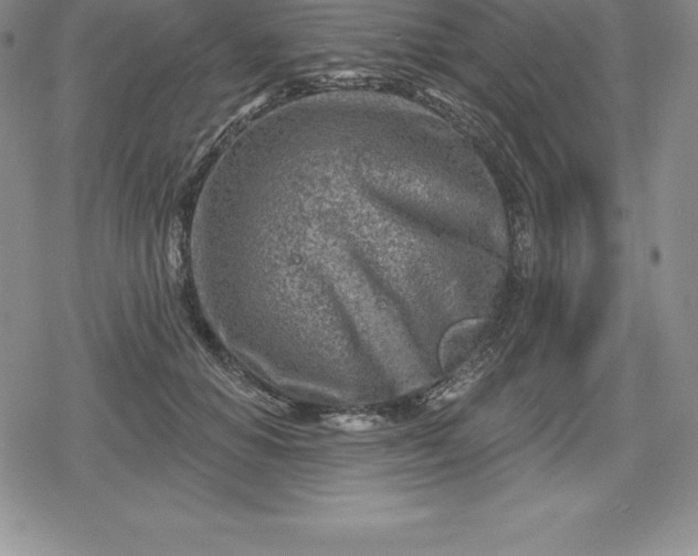 X0000080200654200612221407