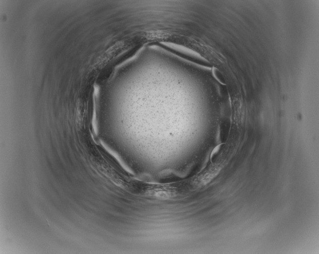 X0000080200655200612221407