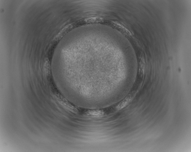 X0000080200659200612221407