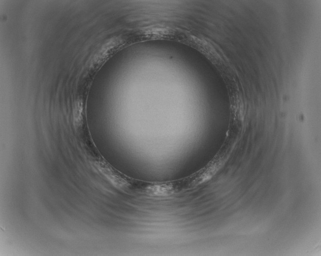 X0000080200660200612221407