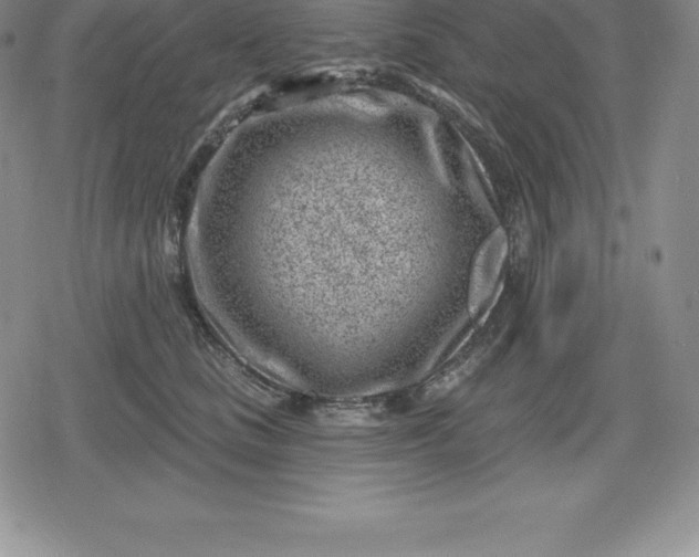 X0000080200661200612221407